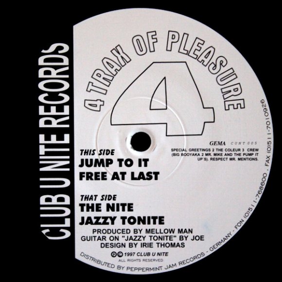4 Tracks Of Pleasure - Jazzy Tonite (5:49)